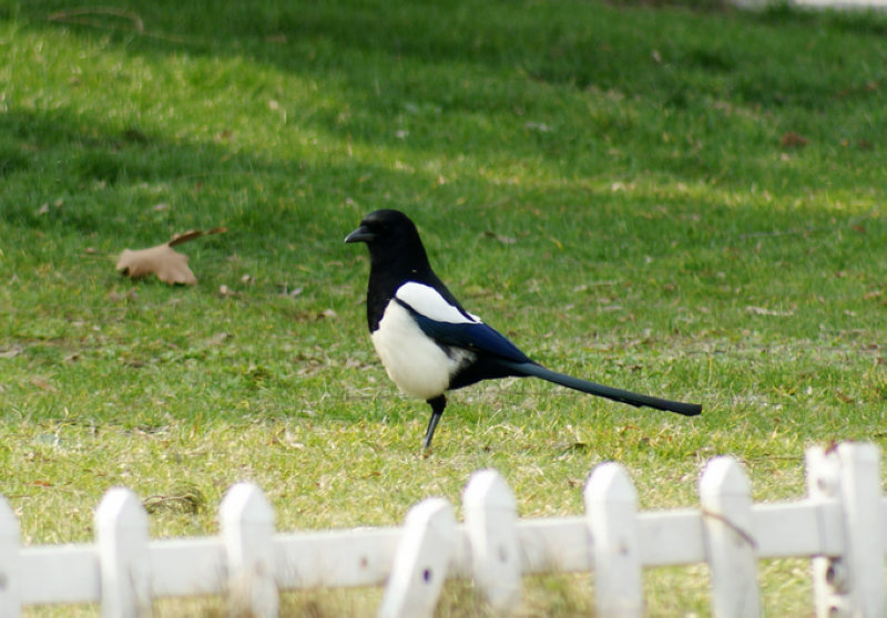 DSC03553.JPG