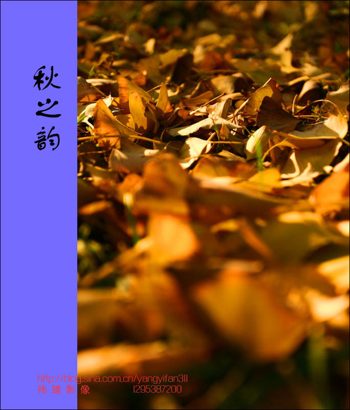 ֮