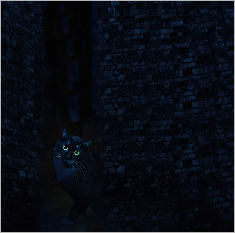 ҹ֮.jpg